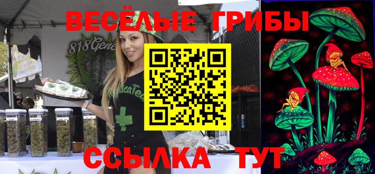 Галлюциногенные грибы мухоморы Южноуральск