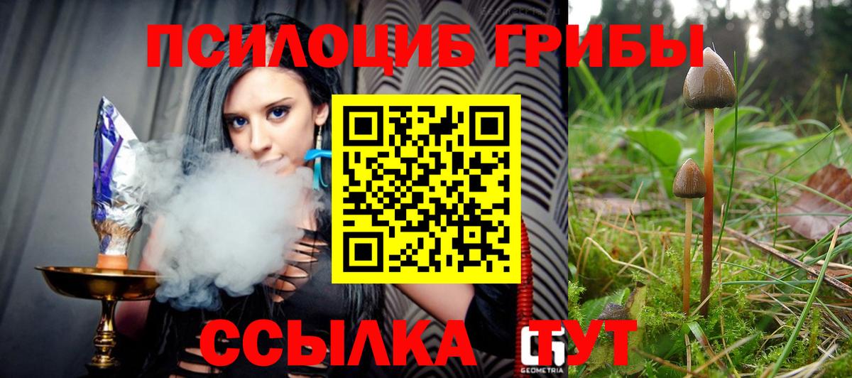 Галлюциногенные грибы мухоморы  Вход с VPN  Псилоцибиновые грибы Psilocybine cubensis  Южноуральск 